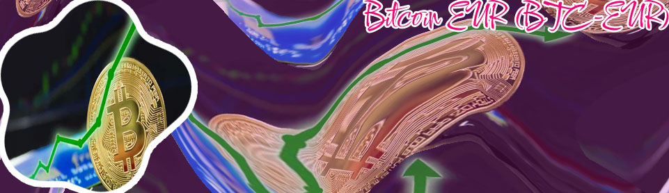 Valore bitcoin euro